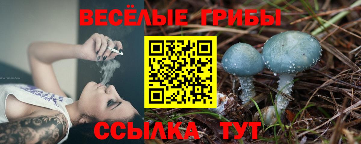 Галлюциногенные грибы MAGIC MUSHROOMS  Вход с VPN  Дзержинск 