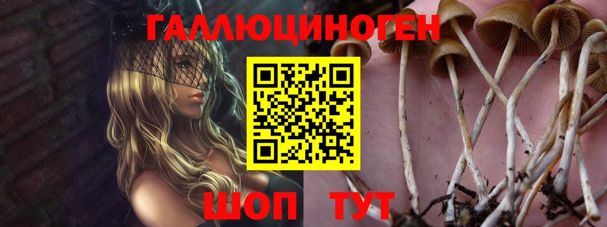 Псилоцибиновые грибы мухоморы Дзержинск